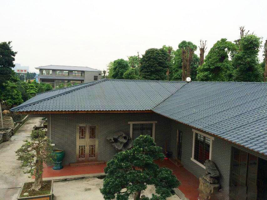 農(nóng)村自建房蓋合成樹脂瓦，美得不要不要的！