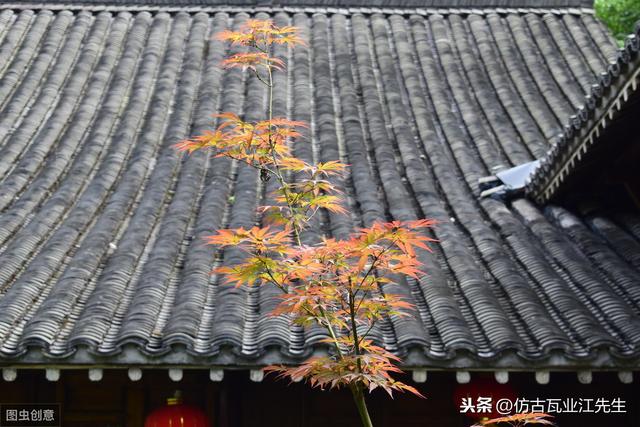 導(dǎo)讀：農(nóng)村蓋房用樹脂瓦適合嗎？聽完行家的分析，恍然大悟