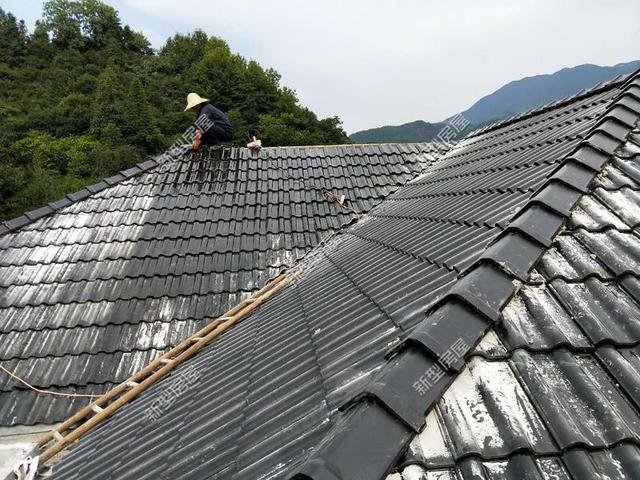 30元一平的樹(shù)脂瓦省錢(qián)又耐用？網(wǎng)友：吃飽沒(méi)事干，用一年就得換