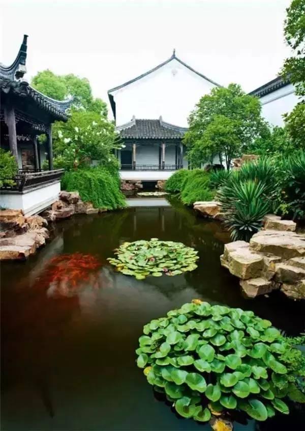 小院回廊，一步一景！